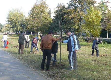 Noi plantări de arbori pe încă 86 de hectare de teren în Oradea 